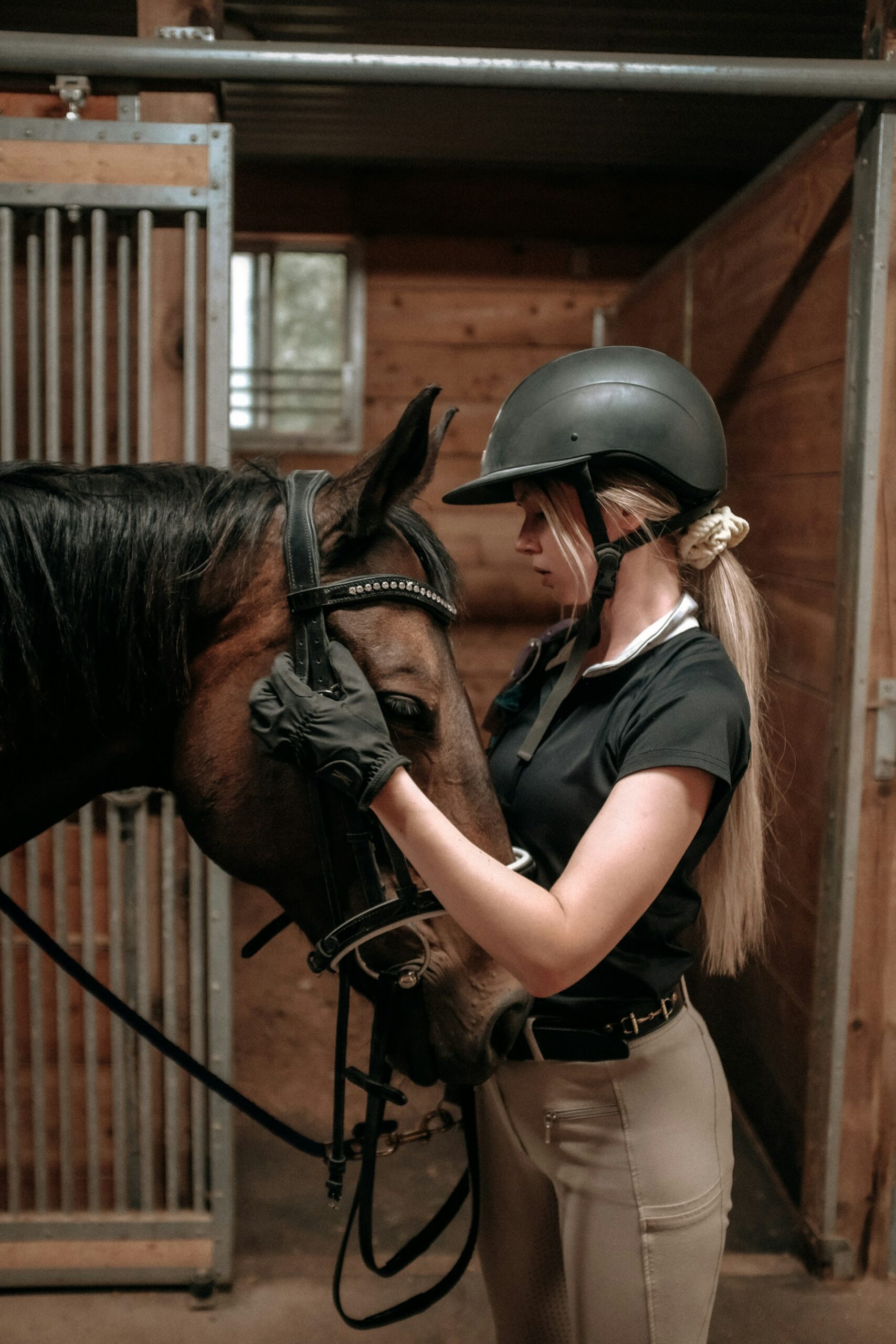 Equine Assisted Therapy